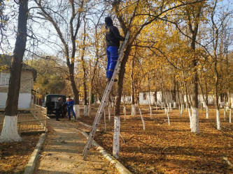 İsmət Qayıbov adına Mədəniyyət və İstirahət Parkında aparılan işlər haqqında məlumat