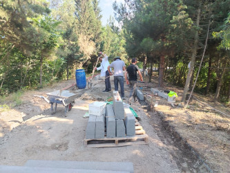 Şirvanda “Şəhərsalma və Memarlıq İli” çərçivəsində görülən abadlıq işləri davam etdirilir.
