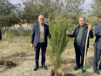 Zəfər Günü münasibətilə ağacəkmə aksiyası keçirilib.