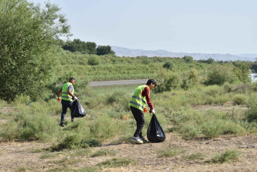 Şirvanda növbəti təmizlik aksiyası keçirilib 15.07.2023