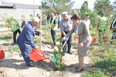 27 sentyabr – Anım Günü Şirvan şəhərində silsilə tədbirlərlə qeyd edilir.