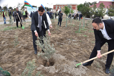 Şirvanda Ümummili lider Heydər Əliyevin anadan olmasının 100 illiyinə həsr olunmuş növbəti ağacəkmə aksiyası keçirilib.