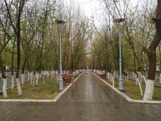 Şirvan şəhərində Kür çayı sahilində "Bulvar" salınması və "İsmət Qayıbov adına park"ın yenidən qurulması ilə əlaqədar müsabiqə.