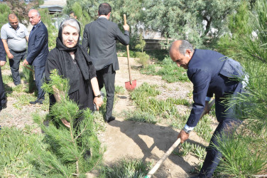 27 sentyabr – Anım Günü Şirvan şəhərində silsilə tədbirlərlə qeyd edilir.