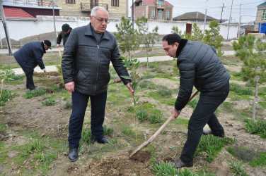Şirvanda Xocalı soyqırımı qurbanlarının xatirəsinə həsr olunmuş ağacəkmə aksiyası keçirilib.