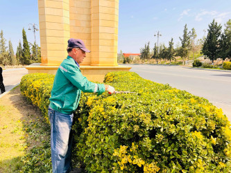 Şirvan şəhərində növbəti iməcilik təşkil olunub.