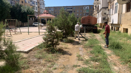 Şirvanda yaşıllıqların suvarılması işləri davam etdirilir.