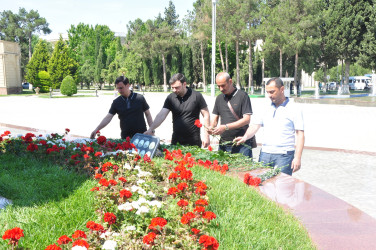 Şirvanda Su təsərrüfatı və meliorasiya işçilərinin peşə bayramı qeyd edilib.