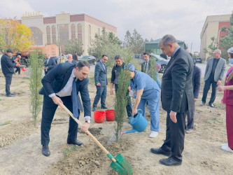 Zəfər Günü münasibətilə ağacəkmə aksiyası keçirilib.