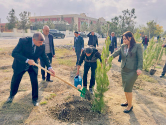 Zəfər Günü münasibətilə ağacəkmə aksiyası keçirilib.