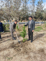 Zəfər Günü münasibətilə ağacəkmə aksiyası keçirilib.