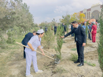 Zəfər Günü münasibətilə ağacəkmə aksiyası keçirilib.