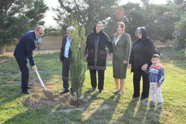 Şirvanda Dövlət Bayrağı Günü münasibətilə ağacəkmə aksiyası keçirilib.
