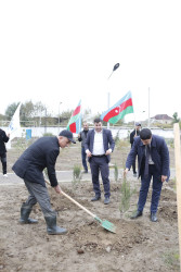 Yeni Azərbaycan Partiyasının təsis edilməsinin 31 illik yubileyi ilə bağlı Şirvanda ağacəkmə aksiyası keçirilib.