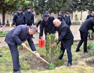 Şirvanda “Heydər Əliyev İli” çərçivəsində ümumşəhər ağacəkmə aksiyası keçirilib.