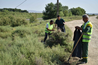 Şirvanda növbəti təmizlik aksiyası keçirilib 15.07.2023