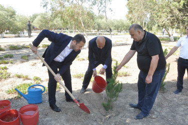 Şirvan şəhərində 27 Sentyabr – Anım Gününə həsr olunmuş tədbir keçirilib.