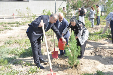 27 sentyabr – Anım Günü Şirvan şəhərində silsilə tədbirlərlə qeyd edilir.