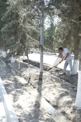 Şirvanda yaşıllıqların suvarılması işləri davam etdirilir.