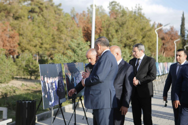 Şirvanda Zəfər Günü qeyd edilib.