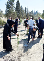 Şirvan şəhərində 27 sentyabr-Anım Günü münasibətilə ağacəkmə aksiyası keçirilib.