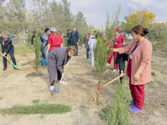 Zəfər Günü münasibətilə ağacəkmə aksiyası keçirilib.