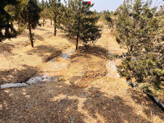 Şirvan şəhərində növbəti iməcilik təşkil olunub.