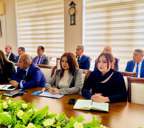 Şirvan Səhər İcra Hakimiyyətinin başçısı İlqar Abbasov növbəti vətəndaş qəbulu keçirib.