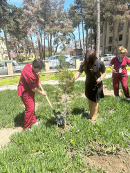 Şirvanda Ulu Öndər Heydər Əliyevin anadan olmasının 102-ci ildönümü münasibətilə ağacəkmə aksiyası keçirilib.