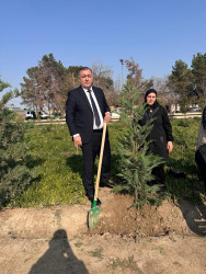 Şirvanda Zəfər Günü münasibətilə Şəhidlər Xiyabanı ziyarət olunub.