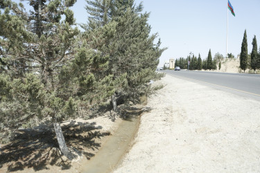 Şirvanda yaşıllıqların suvarılması işləri davam etdirilir.