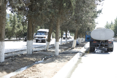 Şirvanda yaşıllıqların suvarılması işləri davam etdirilir.