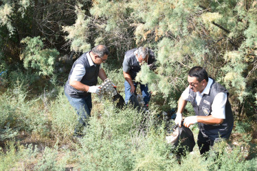 Şirvanda növbəti təmizlik aksiyası keçirilib 15.07.2023