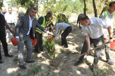 Şirvan şəhərində 27 Sentyabr – Anım Gününə həsr olunmuş tədbir keçirilib.