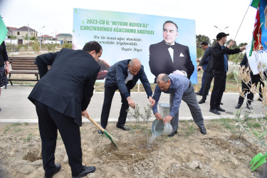 Şirvanda Ümummili lider Heydər Əliyevin anadan olmasının 100 illiyinə həsr olunmuş növbəti ağacəkmə aksiyası keçirilib.