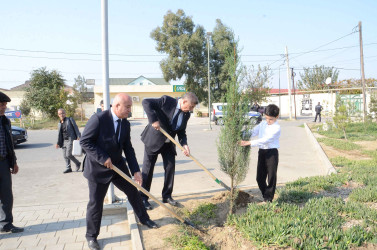Şirvanda Zəfər Günü münasibətilə Şəhidlər Xiyabanı ziyarət olunub.