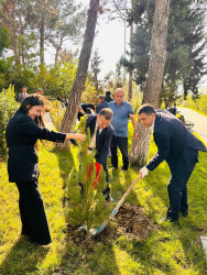 Şirvanda Anım Gününə həsr olunmuş ağacəkmə aksiyası keçirilib