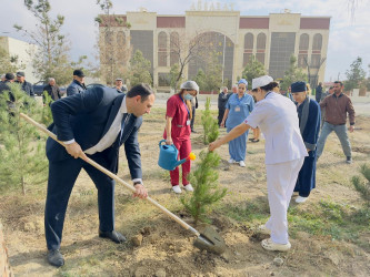 Zəfər Günü münasibətilə ağacəkmə aksiyası keçirilib.