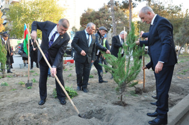 Şirvanda Yeni Azərbaycan Partiyasının təsis edilməsinin 32 illiyinə həsr olunmuş ağacəkmə aksiyası keçirilib.