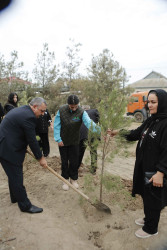 Şirvan şəhərində 27 sentyabr - Anım Günü münasibətilə ağacəkmə aksiyası keçirilib.