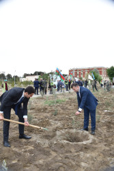 Şirvanda Ümummili lider Heydər Əliyevin anadan olmasının 100 illiyinə həsr olunmuş növbəti ağacəkmə aksiyası keçirilib.