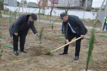 Şirvanda YAP-nın yaranmasının 30 illiyi ilə əlaqədar ağacəkmə aksiyası keçirilib.