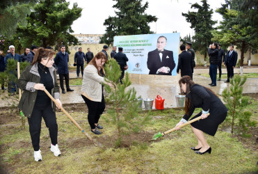 Şirvanda “Heydər Əliyev İli” çərçivəsində ümumşəhər ağacəkmə aksiyası keçirilib.