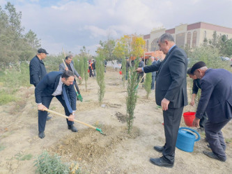 Zəfər Günü münasibətilə ağacəkmə aksiyası keçirilib.
