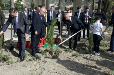 Şirvan şəhərində Ümummilli lider, Ulu Öndər Heydər Əliyevin anadan olmasının 102-ci ildönümü münasibətilə növbəti ağacəkmə aksiyası keçirilib.