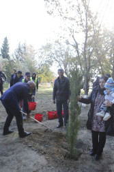 Şirvanda 8 Noyabr - Zəfər Gününün dördüncü ildönümünə həsr edilən silsilə tədbirlər keçirilir.