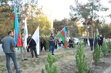 Şirvanda Yeni Azərbaycan Partiyasının təsis edilməsinin 32 illiyinə həsr olunmuş ağacəkmə aksiyası keçirilib.