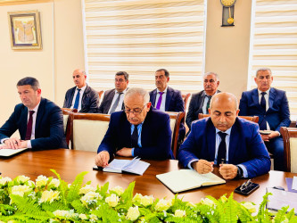 Şirvan Səhər İcra Hakimiyyətinin başçısı İlqar Abbasov növbəti vətəndaş qəbulu keçirib.