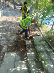 Şirvanda “Şəhərsalma və Memarlıq İli” çərçivəsində görülən abadlıq işləri davam etdirilir.