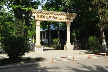 Şirvanda “Şəhərsalma və Memarlıq İli” çərçivəsində görülən abadlıq işləri davam etdirilir.